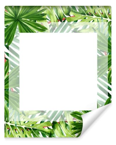 Palm beach tree leaves jungle botanical. Watercolor background illustration set. Frame border ornament square.