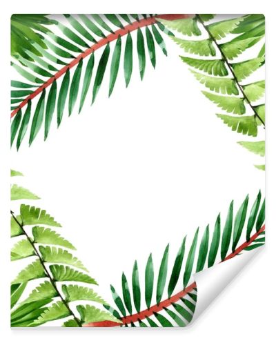 Palm beach tree leaves jungle botanical. Watercolor background illustration set. Frame border ornament square.