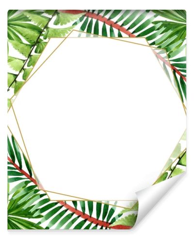 Palm beach tree leaves jungle botanical. Watercolor background illustration set. Frame border ornament square.