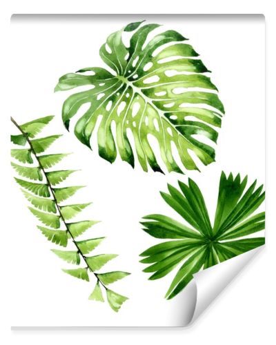 Palm beach tree leaves jungle botanical. Watercolor background illustration set. Isolated leaf illustration element.
