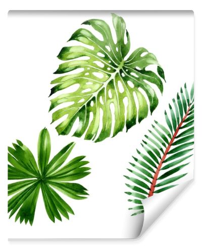 Palm beach tree leaves jungle botanical. Watercolor background illustration set. Isolated leaf illustration element.