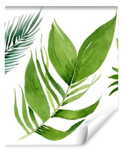 Palm beach tree leaves jungle botanical. Watercolor background illustration set. Isolated leaves illustration element.