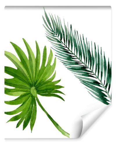 Palm beach tree leaves jungle botanical. Watercolor background illustration set. Isolated leaves illustration element.
