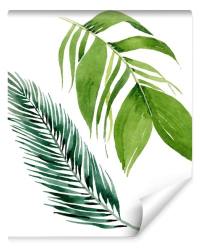 Palm beach tree leaves jungle botanical. Watercolor background illustration set. Isolated leaves illustration element.