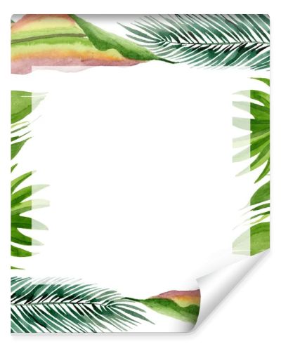 Palm beach tree leaves jungle botanical. Watercolor background illustration set. Frame border ornament square.