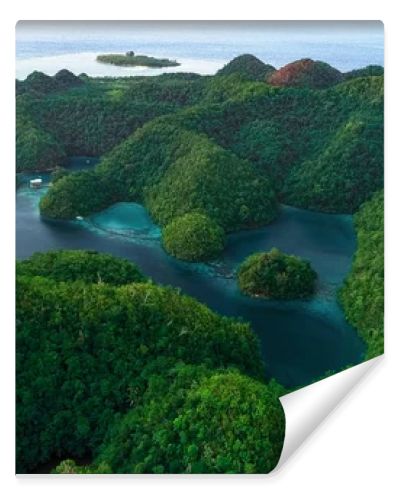 Aerial view of Sugba lagoon. Beautiful landscape with blue sea lagoon, National Park, Siargao Island, Philippines.