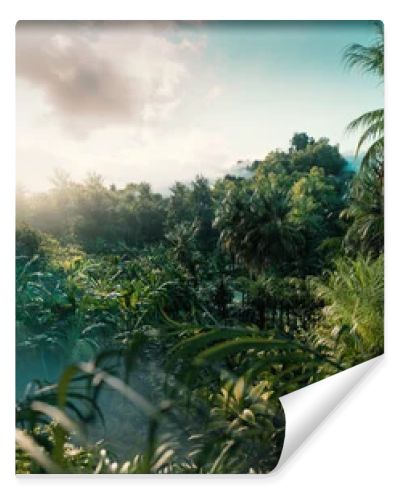 Immersive Sunset View Through the Dense, Misty Jungle: A First-Person Perspective. 3d Rendering.