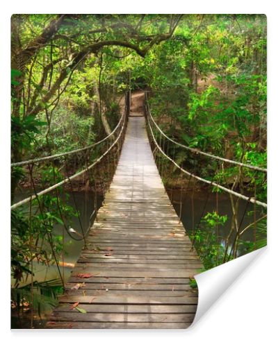 Bridge to the jungle,Khao Yai national park,Thailand