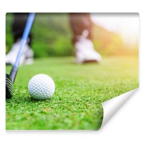 Zbliżenie piłki golfowej na polu zielonej trawy