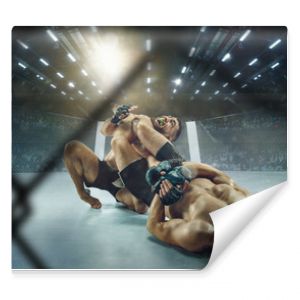 Hot atmosphere. Two professional fighters posing on the sport boxing ring. Couple of fit muscular caucasian athletes or boxers fighting. Sport, competition and human emotions concept.