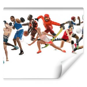 Sport collage. Tennis, running, badminton, soccer and american football, basketball, handball, volleyball, boxing, MMA fighter and rugby players. Fit women and men standing on white background