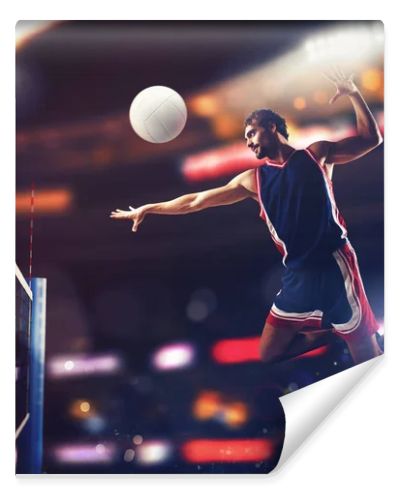 Volleyball player jumping 