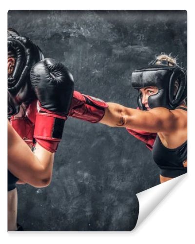 Fight between two professional female boxers