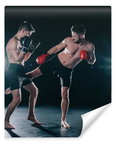 shirtless muscular mma fighter in boxing gloves kicking another in leg