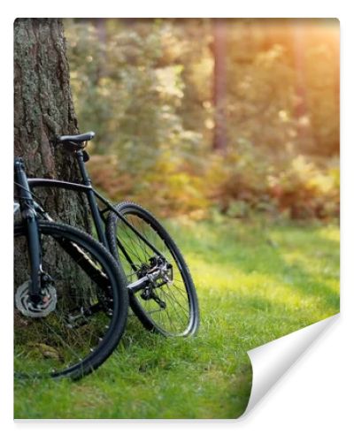 Bicycle with carbon base parked in the forest. Safety helmet protection. Hiking and bicycle travel. Family holiday. Active way of travelling.