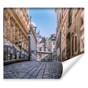 Vienna, Austria: Greek street in the old city center (in german Griechengasse), one of Vienna's most famous streets  