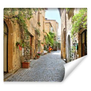 Quaint street lined with plants outside historic buildings in the medieval old town of Orvieto, Umbria, Italy