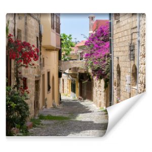 Street in the old town of Rhodes, Greece