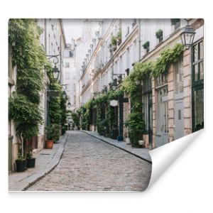 Przytulna ulica w Paryżu we Francji