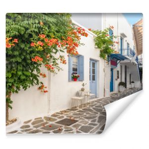 View of a typical narrow street in old town of Parikia, Paros island, Greece