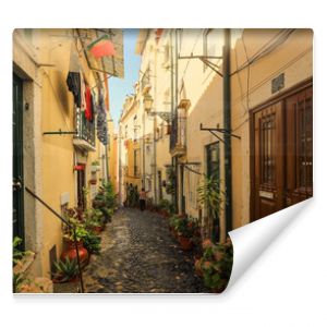 A narrow street in Alfama district in Lisbon, Portugal