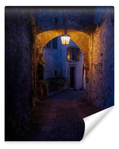 The landscape of Saint-Saphorin at night. The village located in the Swiss canton of Vaud, on the shore of Lake Geneva (Lac Leman), in the district of Lavaux-Oron.