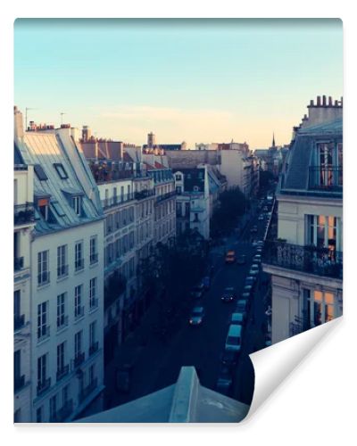 Paris. View of the city roofs.