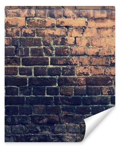 Grunge bricks wall