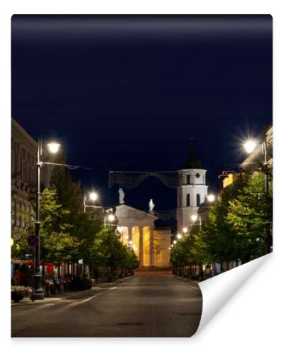 Gedimino prospektas in Vilnius, Lithuania