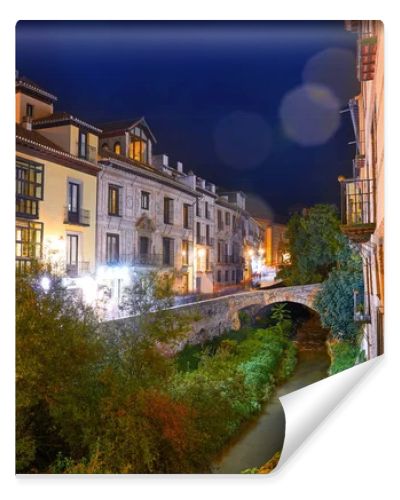 Darro carrera street river and arch in Granada of Spain at Andalusia