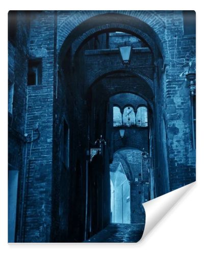 Street view with old buildings and archway in Siena, Italy.