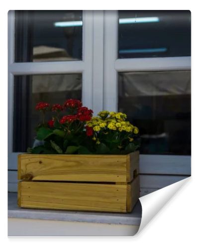 Window sill with flowers 