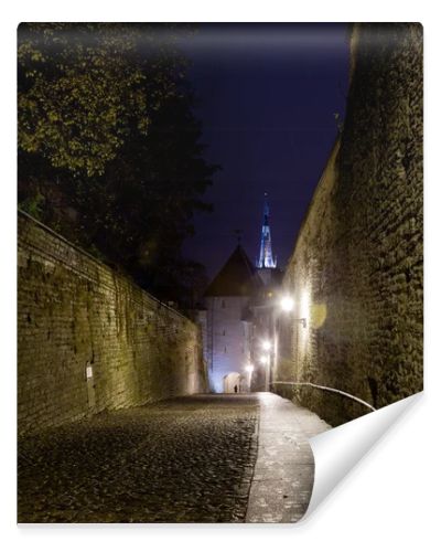 Walk to Toompea