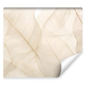 neutral color aesthetic photo with veins of leaf, Nature abstract of flower petals