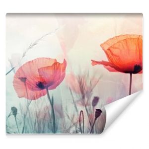 An exquisite and elegant abstract watercolor illustration showcasing vibrant and colorful poppies, making it a perfect choice for spring decor, as well as being an excellent example of botanical art