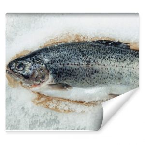 Rainbow trout and kosher salt