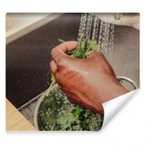 Herbs being washed in a sink