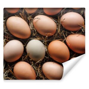 Chicken eggs from an organic farm, top view. Easter background 