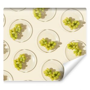 Food pattern from bunch white grapes on glass plate with shadows at sunlight, minimal style summer fruit on beige colored fon, green berries of grape, top view, trend flat lay, food