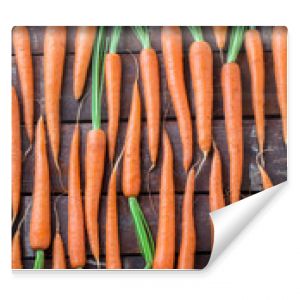 Carrot overhead group lined up on old rustic brown wooden table in studio