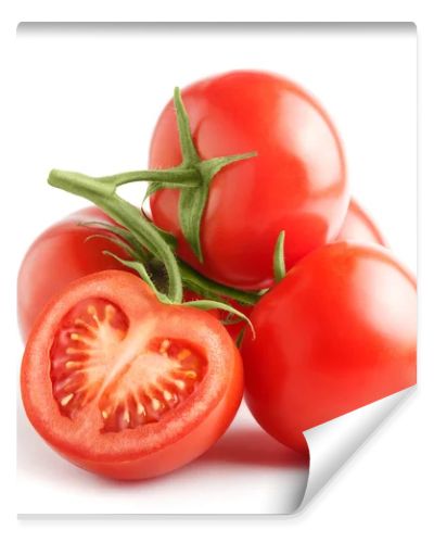 Fresh tomatoes on a green stem