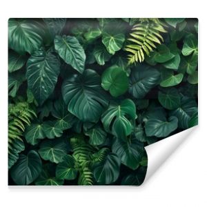 Dark green plants growing in a lush foliage background of tropical leaves like anthurium, epiphytes, or ferns, forming a beautiful green plant wall design in a cloud forest.