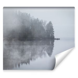 Mystischer Nebel vor einer Insel in einem See mit vielen dunklen Bäumen