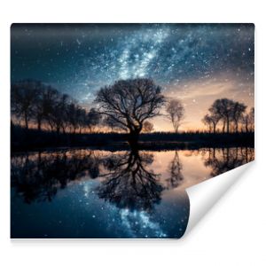 starry sky, with trees Silhouette in the horizon