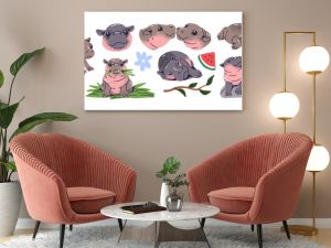 Cute baby hippo set. Funny pygmy hippopotamus has fun, sleeps, eats watermelon. Happy plump African animal swims in water, walks, relaxes. Flat isolated vector illustrations on white background