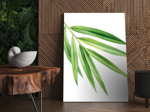 Tropical palm leaf isolated on white background, bamboo. Watercolor botanical painting. High quality illustration
