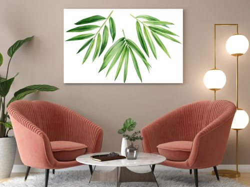 Tropical leaves. palm leaf, bamboo. Set of watercolor tropical floral illustrations with green leaves . High quality illustration
