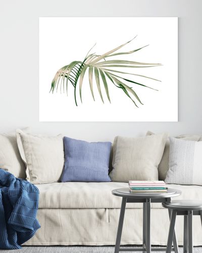 green palm leaf on white background