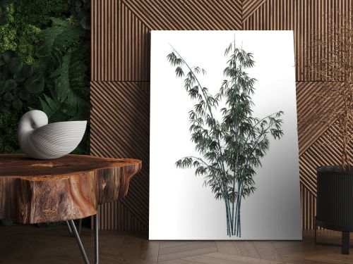 3D Rendering Bamboo Tree on White