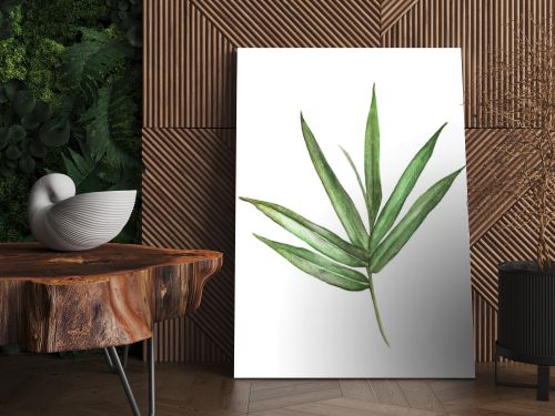 Watercolor illustration painting of bamboo leaves isolated on white background